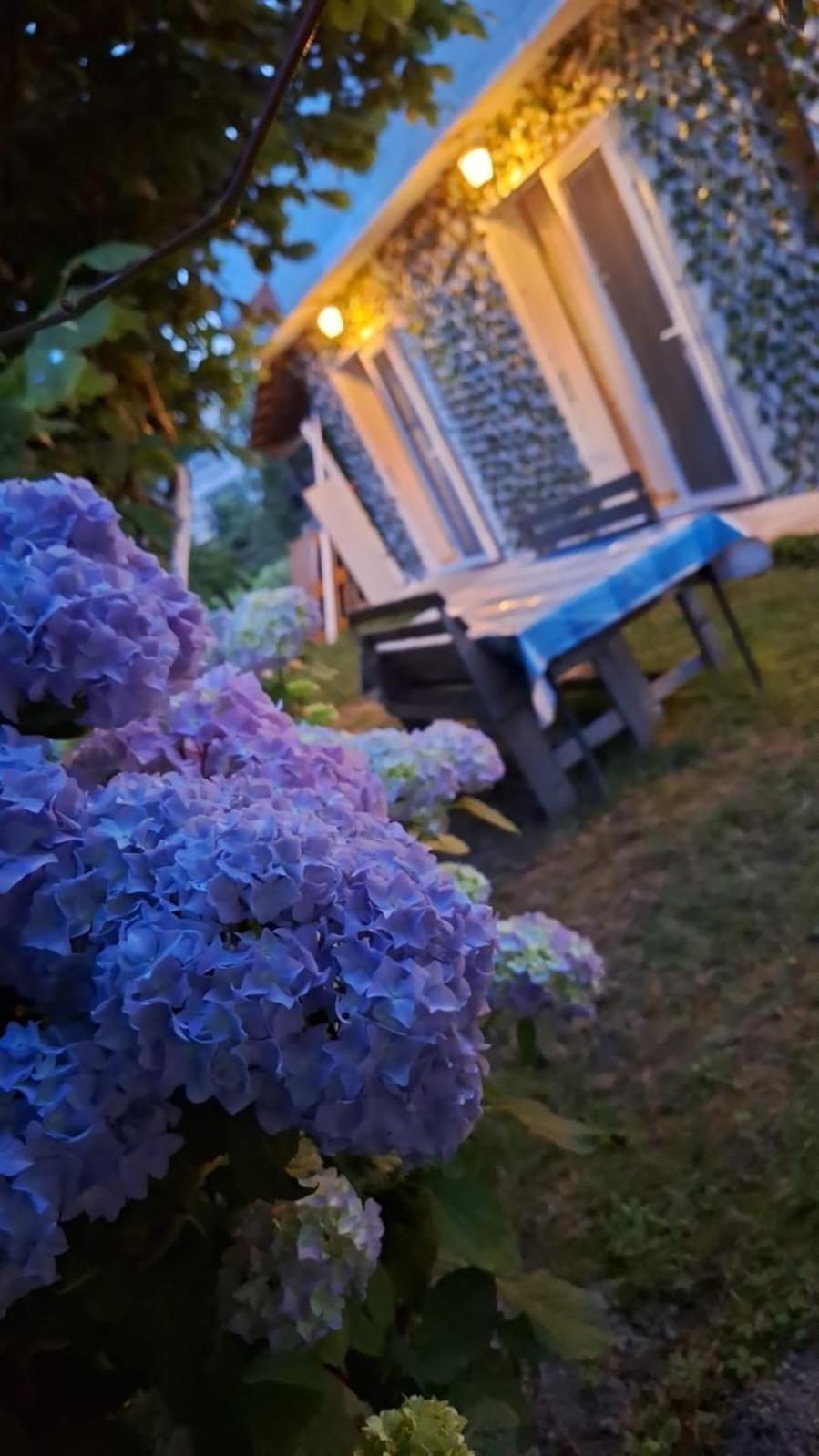 Yahya Rooms Ohrid Kültér fotó